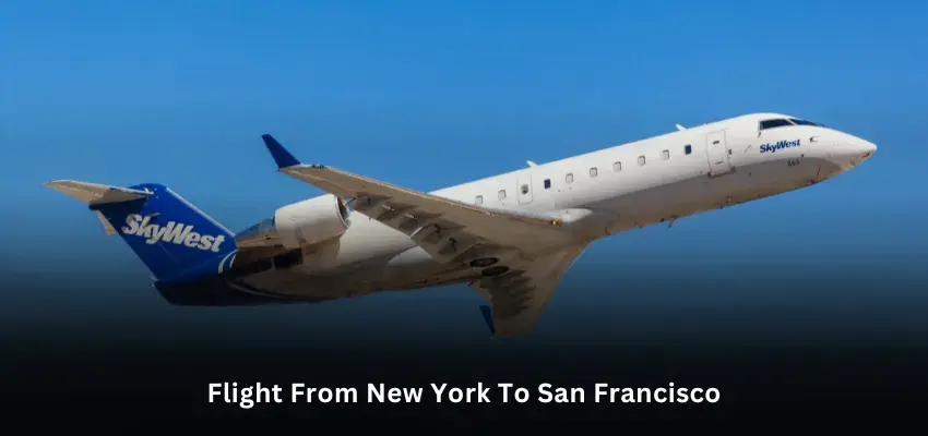 Flight From New York To San Francisco.webp